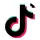 Tiktok scraper logo